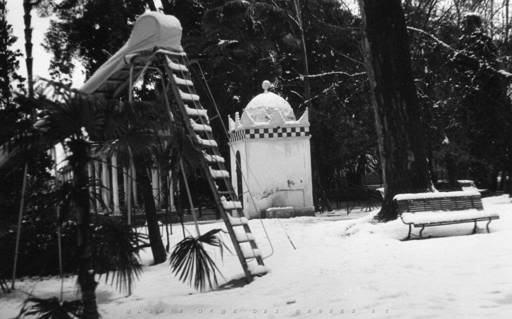 SIDI BEL ABBES 1954 SOUS LA NEIGE  (2).jpg